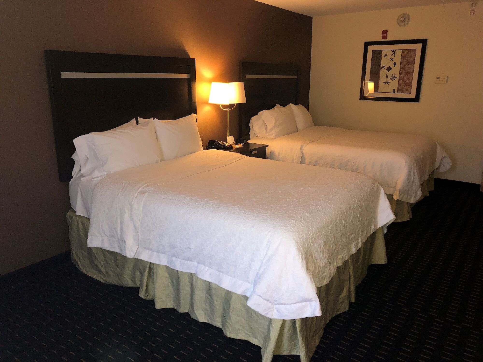 Hampton Inn Jericho - Westbury Exterior foto